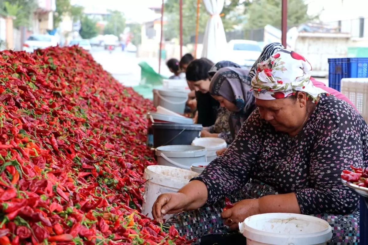 Kadınların \'en acı\' mesaisi