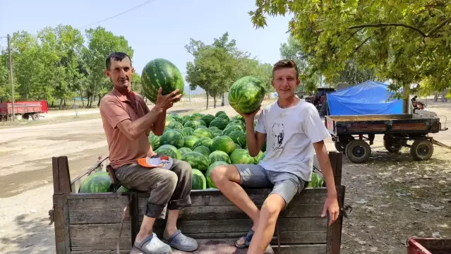 Karpuz ve kavun ekenin bu yıl yüzü güldü Karpuz ve kavun ekenin bu yıl yüzü güldü