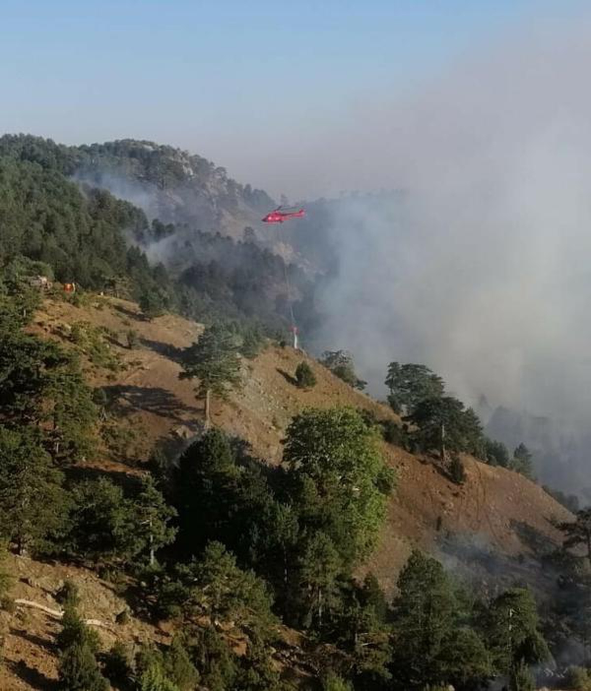 Köyceğiz yangınında 12\'nci gün; havadan müdahale sürüyor (3)