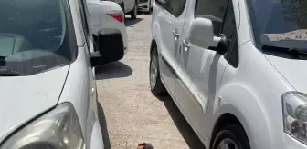 Son dakika haberleri | Mardin'de elindeki patlayıcıyı infilak ettirmeye çalışan bir terörist etkisiz hale getirildi