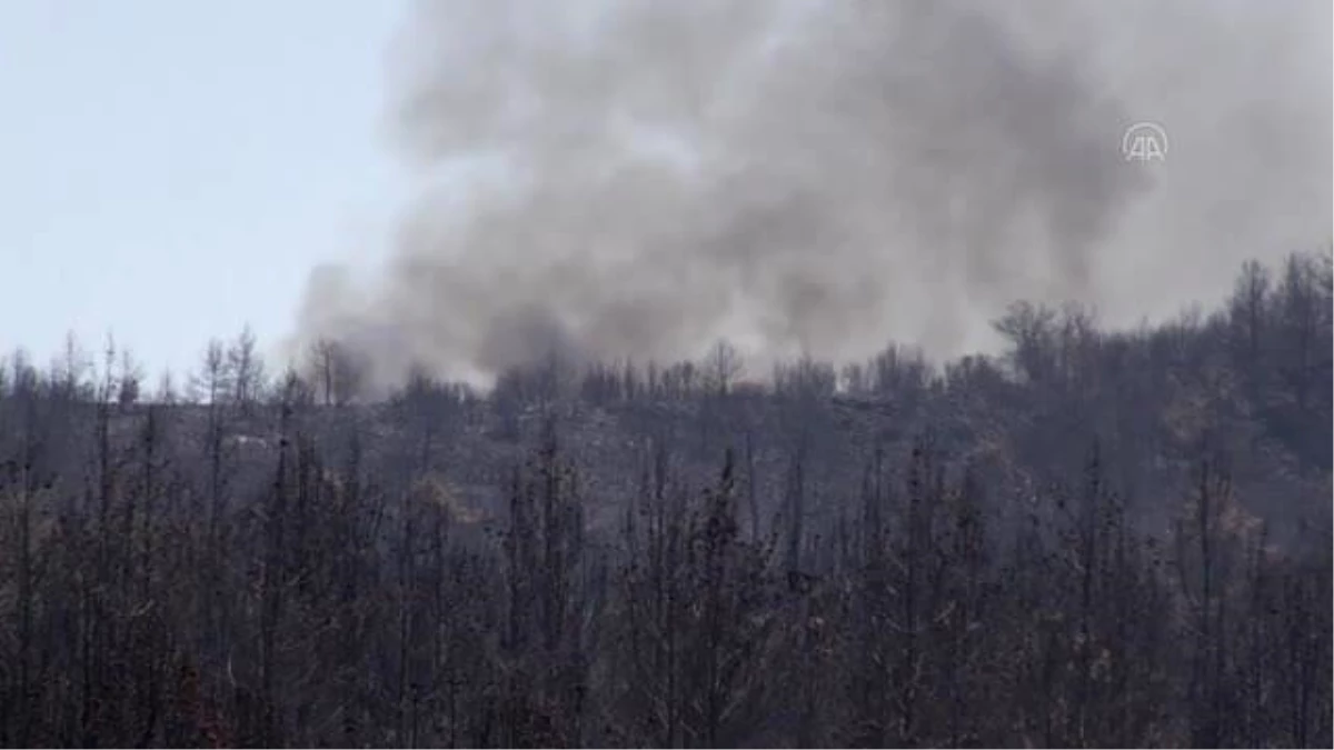 Menteşe\'deki orman yangınlarından çoğu etkin mücadeleyle kontrol altına alındı