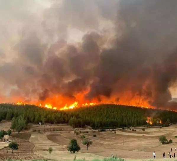 Muğla’da yangınlara karşı ek önlemler orman çevresinde mola verilmesi