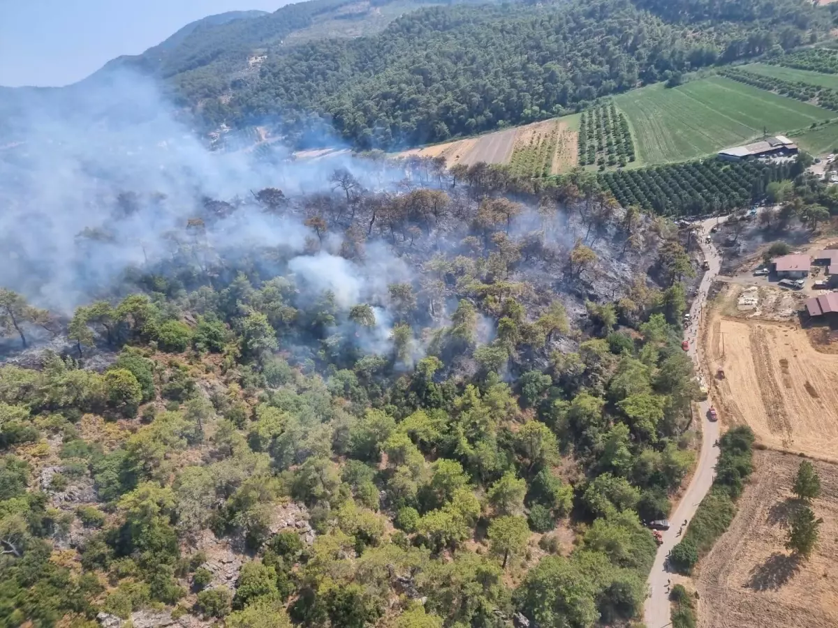 Son dakika haber | Muğla yangınlarında son durum