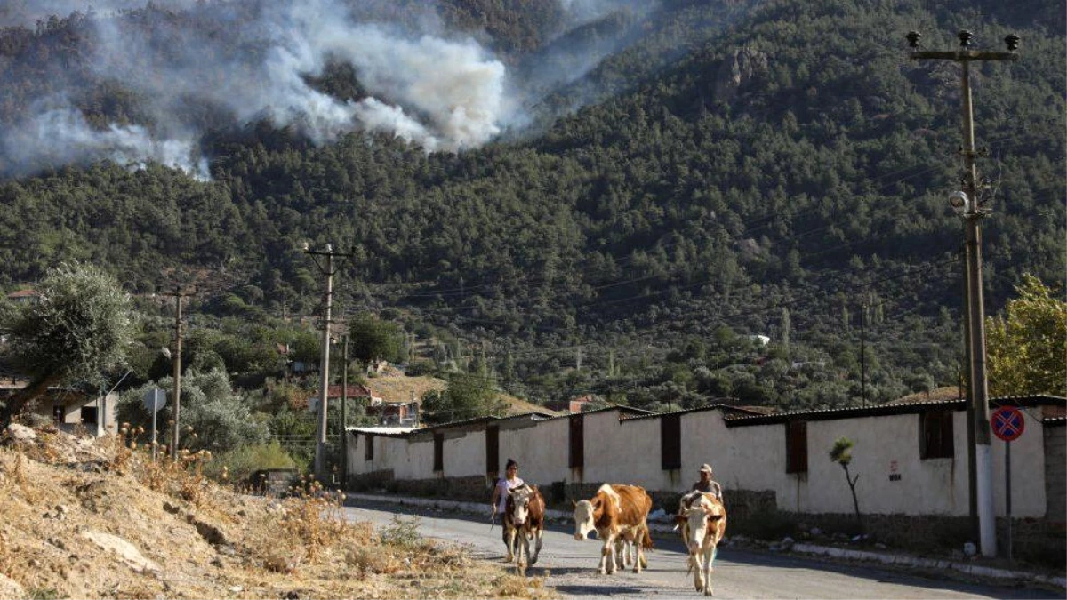 Tarım ve Orman Bakanı Bekir Pakdemirli: "Milas ve Köyceğiz yangınları dışında ülkemizdeki tüm orman yangınları kontrol altına alınmıştır."