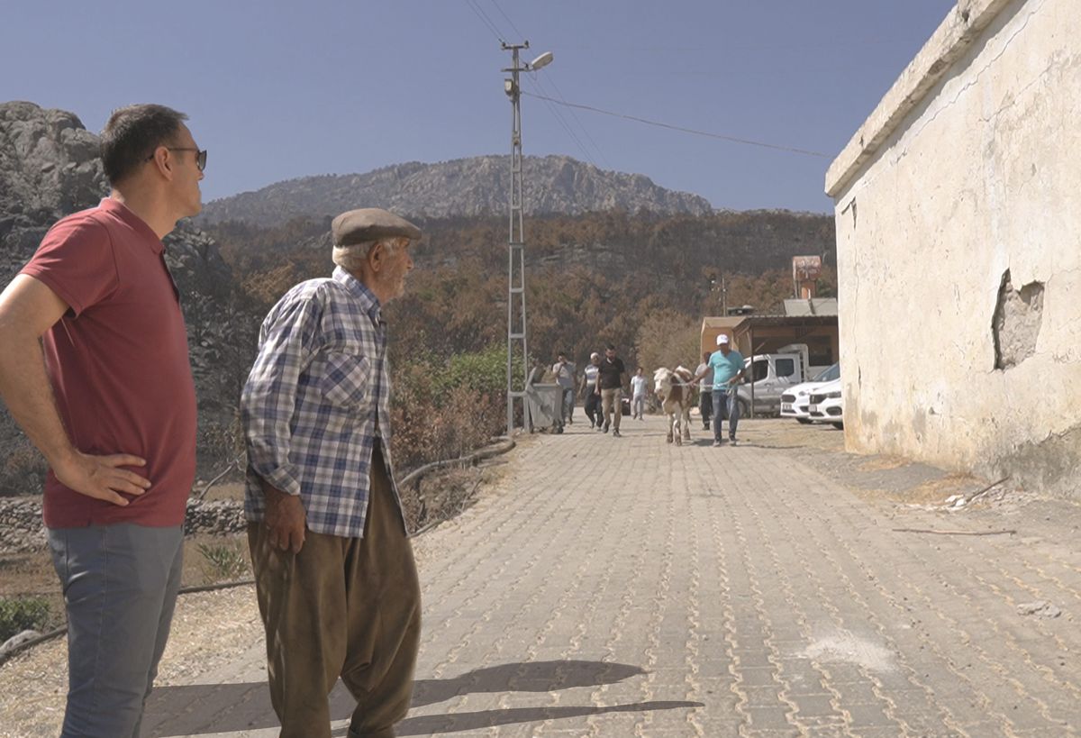 Silifke Belediye Başkanı Altunok\'tan yangınında zarar gören aileye büyükbaş hayvan desteği