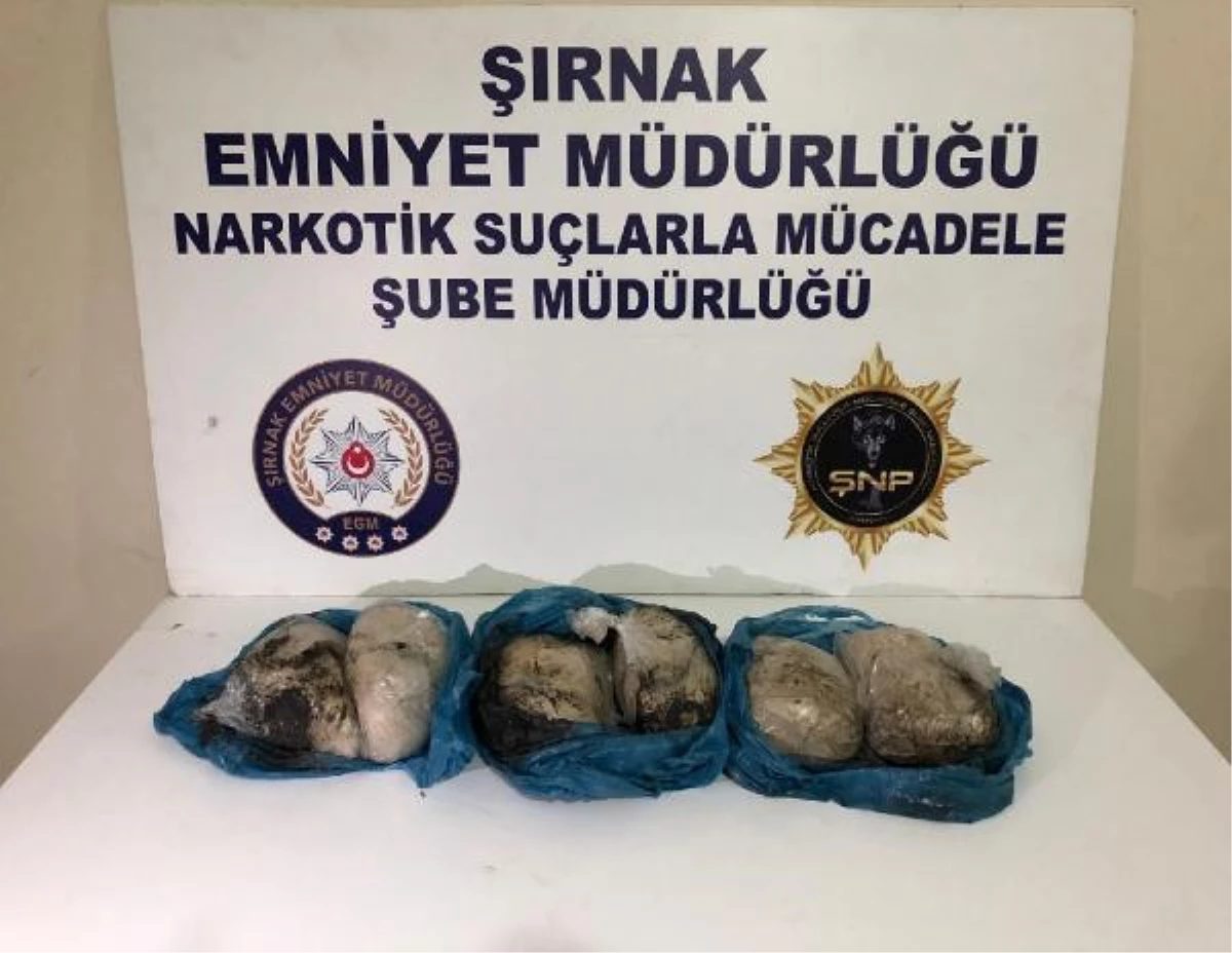 Şırnak\'ta kaçakçılık ve asayiş operasyonlarına 66 gözaltı