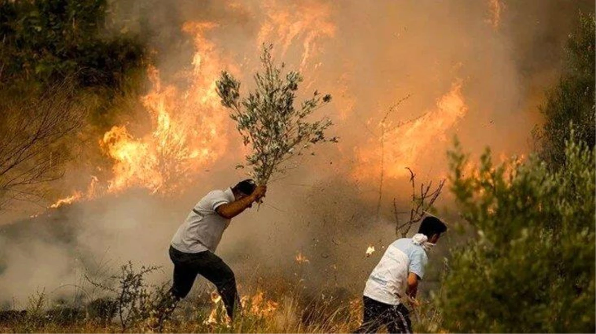 Son Dakika: Son yangınlar Milas ve Köyceğiz\'de! Diğer tüm orman yangınları kontrol altına alındı