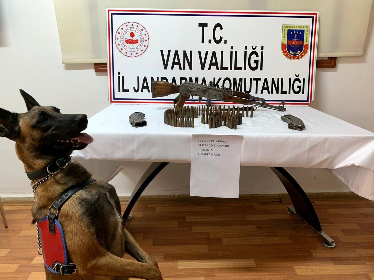 Van\'da bir araçta silah ve mühimmat ele geçirildi