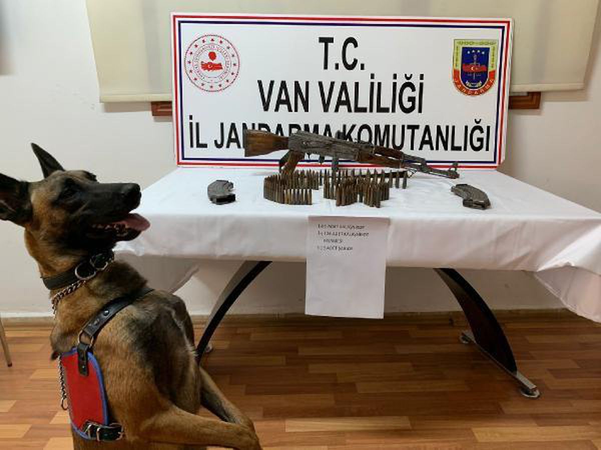 Son Dakika | Van\'da, silah ve mühimmat ele geçirildi, 2 şüpheli gözaltında
