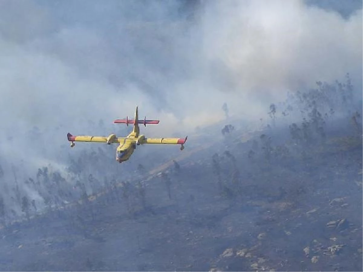 Yunanistan\'daki orman yangınlarına İspanya\'dan destek