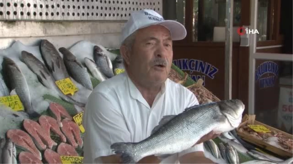 Balıkçılar Müsilaj sonrası yeni sezondan umutlu