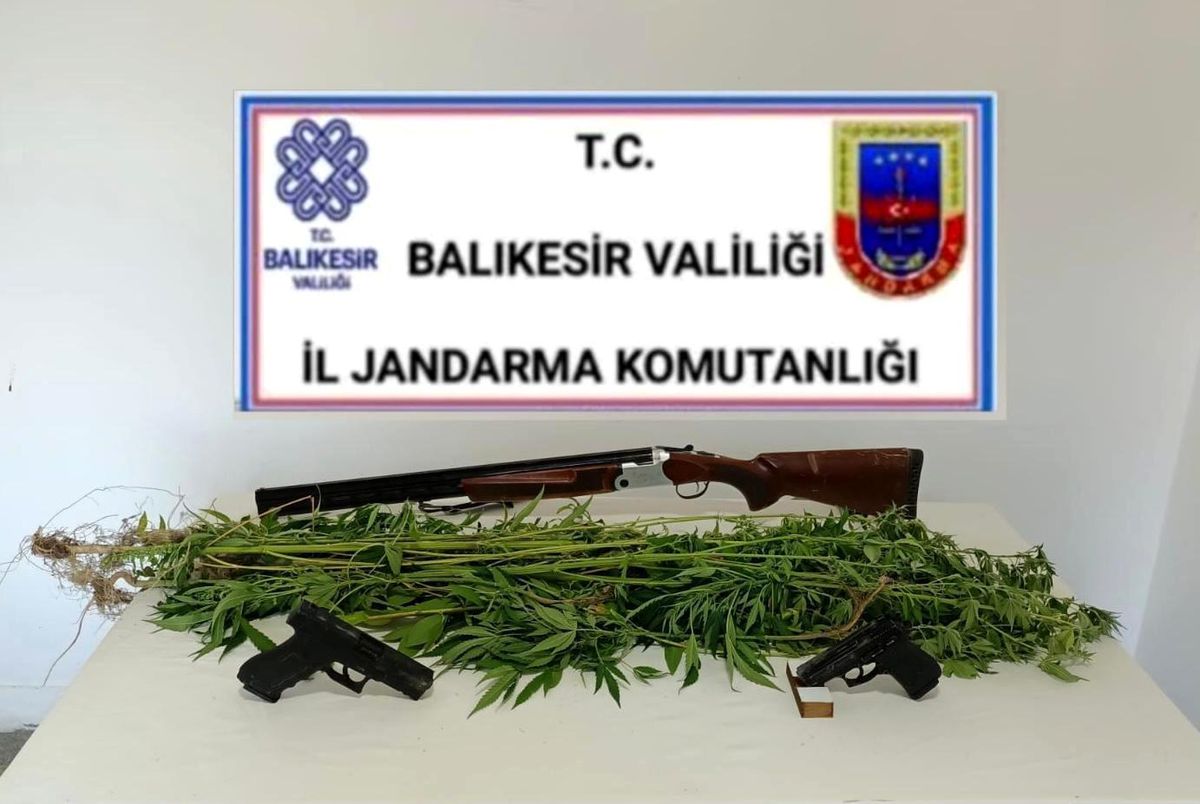 Bigadiç\'te jandarmadan kenevir operasyonu