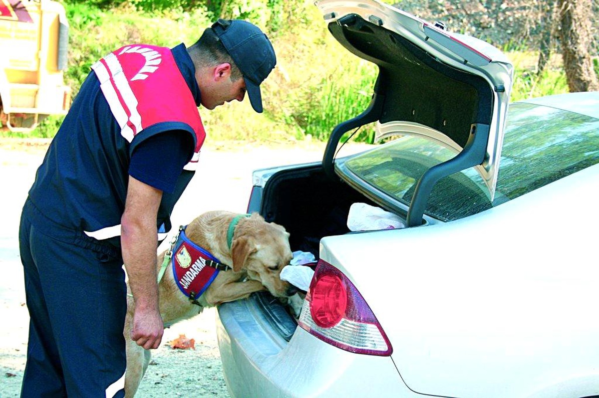 Çorum\'da haklarında arama kararı bulunan 46 kişiyi yakaladı