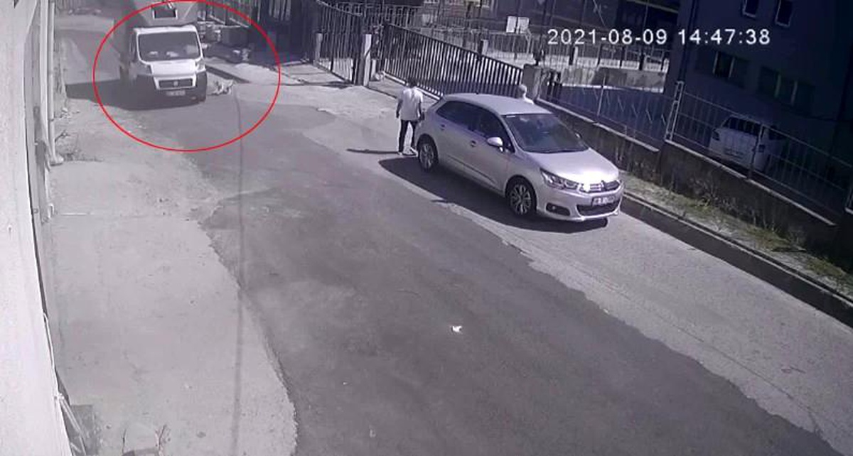 Esenyurt\'ta hızla gelen kamyonet köpeğe çarptı