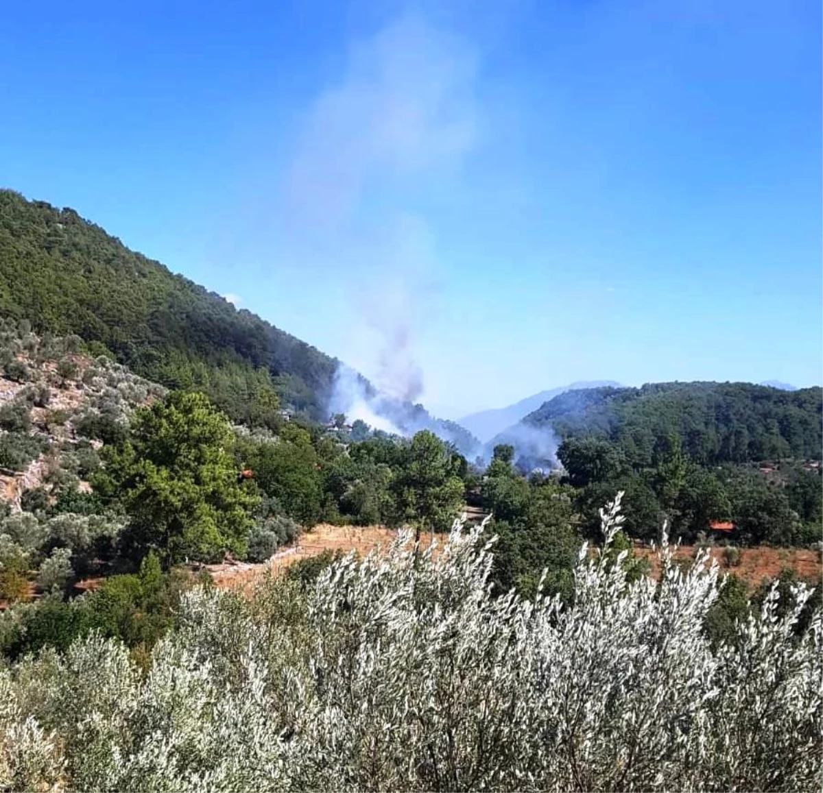 Son Dakika | Göcek\'teki yangın büyümeden söndürüldü