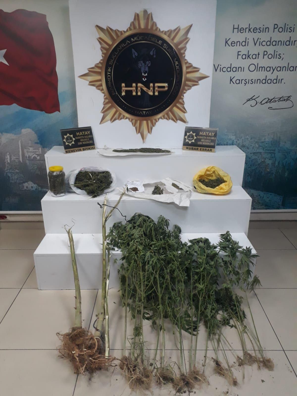 Hatay\'da evlerinde Hint keneviri yetiştiren 3 şüpheli yakalandı