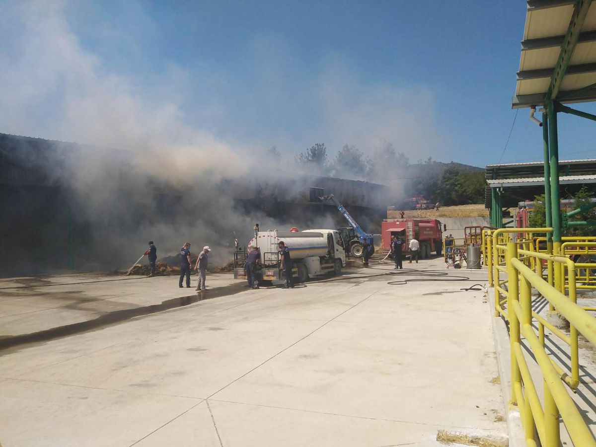 Manisa\'da bir çiftliğin deposundaki 400 ton saman yandı