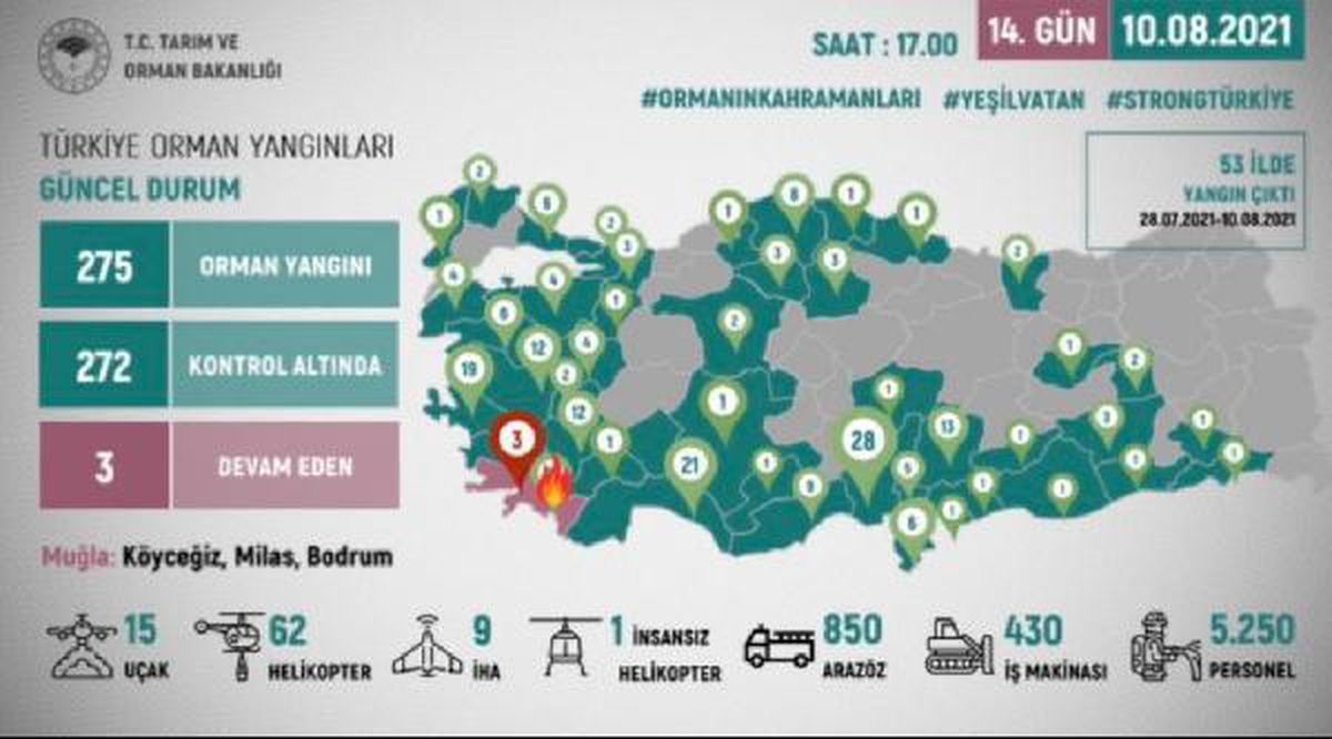 OGM: 275 orman yangınından 272\'si kontrol altına alındı
