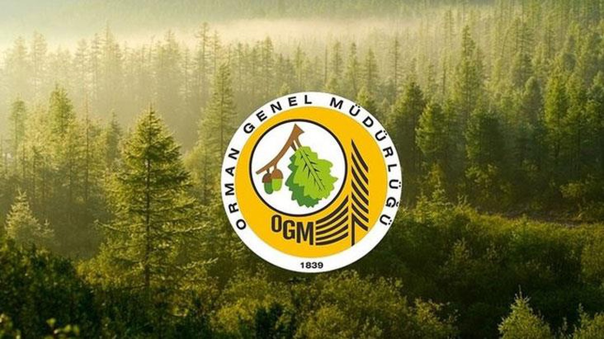 Ormanspor Kulübü\'nün bütçesinin 40 milyon TL olduğu iddiası