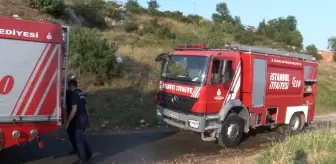Pendik'te kablo yakan şahıs yangına neden oldu