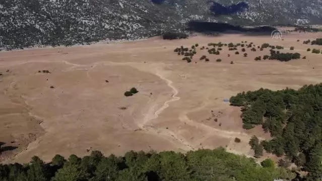 Yangın sonrası yılkı atları için ovaya tonlarca yem ve saman bırakıldı