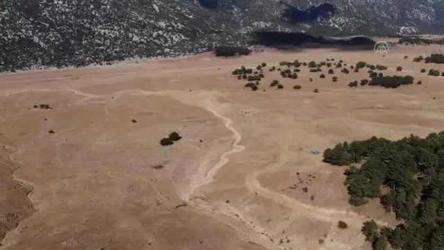 Yangın sonrası yılkı atları için ovaya tonlarca yem ve saman bırakıldı