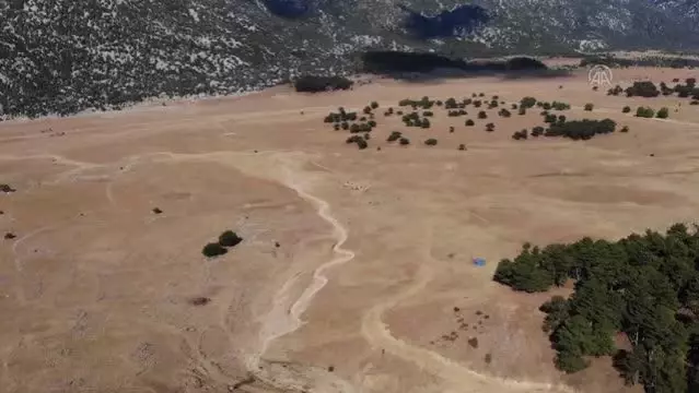 Yangın sonrası yılkı atları için ovaya tonlarca yem ve saman bırakıldı