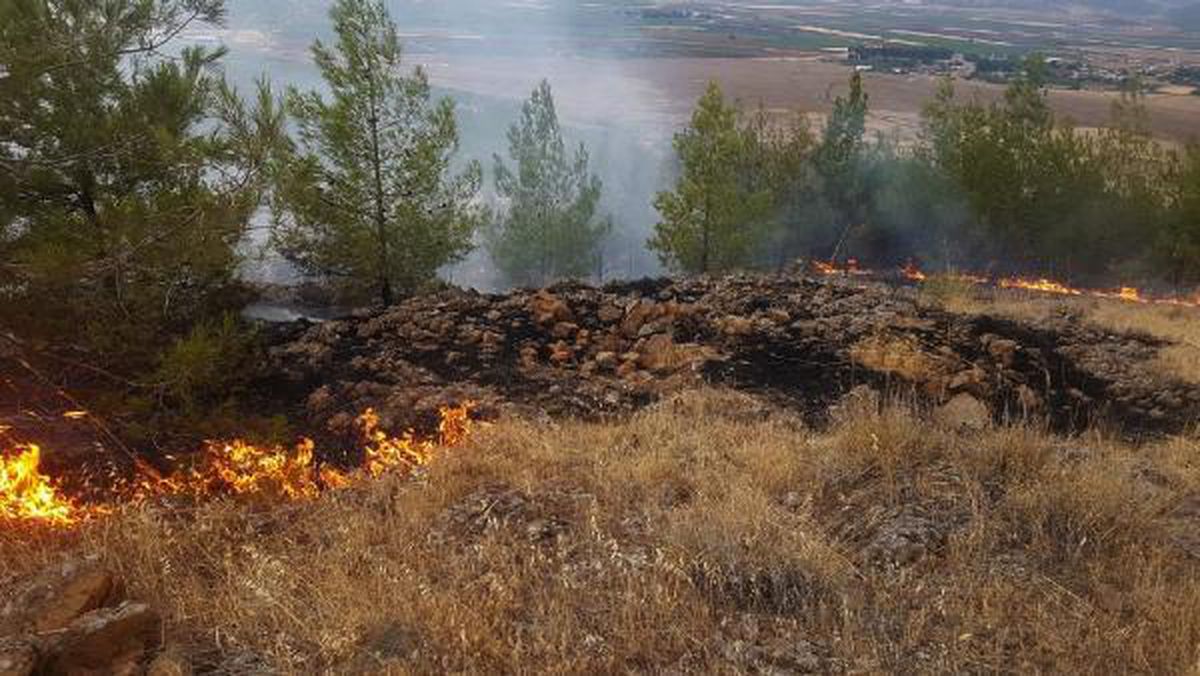 Son dakika... Yıldırım düşmesi sonucu ormanda örtü yangını çıktı
