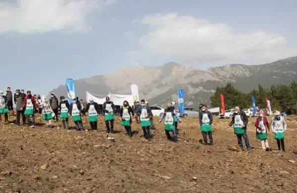 Adana'da yanan 280 futbol sahası büyüklüğündeki alan 5 ay sonra yemyeşil