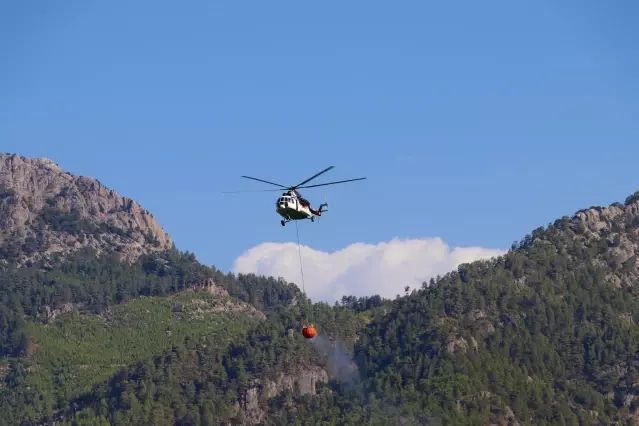 Bucak'ta orman yangını (6) Bucak'ta orman yangını (6)