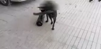 Bebek bezine ve hoparlöre gizlenmiş yaklaşık 2,5 kilogram sentetik uyuşturucu ele geçirildi