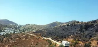 Bodrum'daki yangında 20 hektar makilik alan yandı