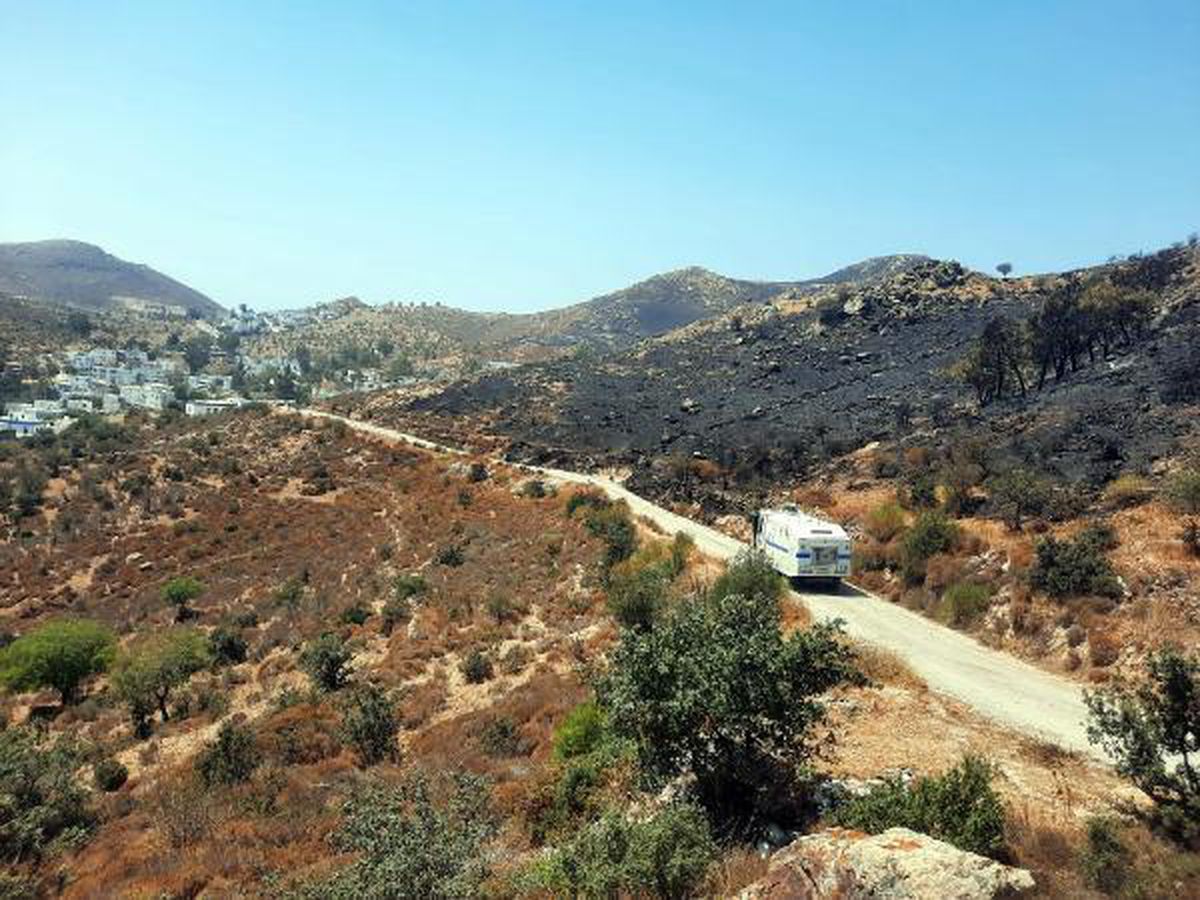 Bodrum\'daki yangında 20 hektar makilik alan yandı
