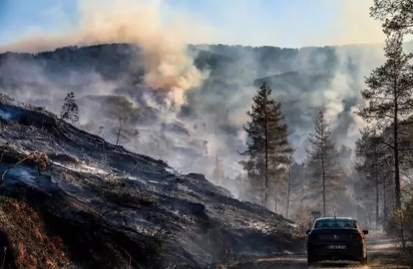 Bucak'ta orman yangını (6) Bucak'ta orman yangını (6)