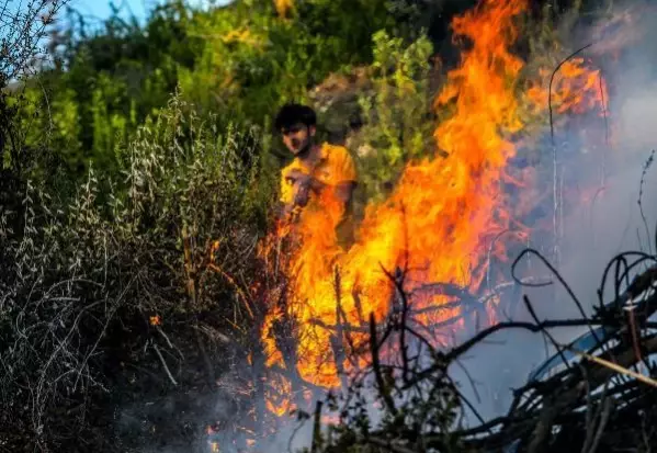 Bucak'ta orman yangını (6) Bucak'ta orman yangını (6)