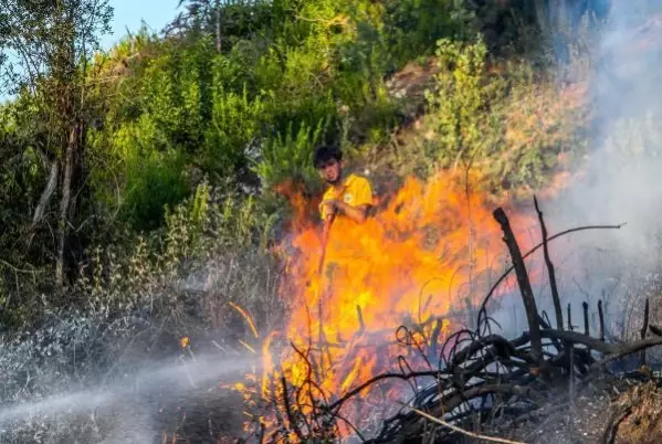 Bucak'ta orman yangını (6) Bucak'ta orman yangını (6)