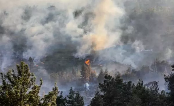 Bucak'ta orman yangını (6) Bucak'ta orman yangını (6)