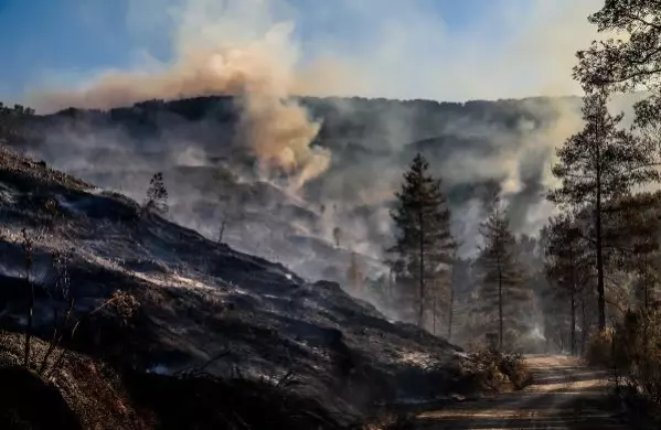 Bucak'ta orman yangını (6) Bucak'ta orman yangını (6)