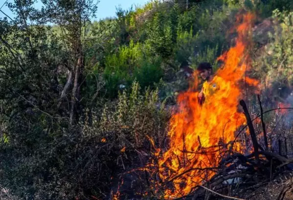 Bucak'ta orman yangını (6) Bucak'ta orman yangını (6)