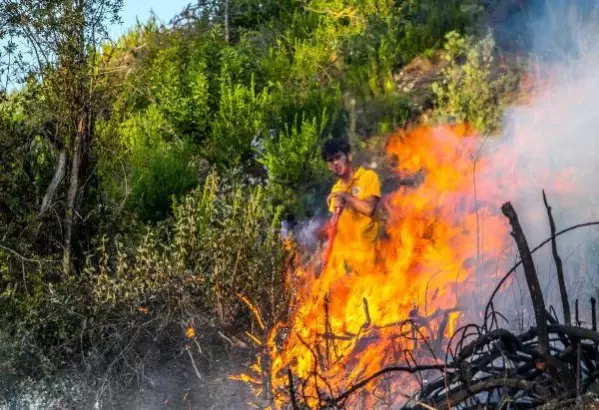 Bucak'ta orman yangını (6) Bucak'ta orman yangını (6)