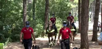Son Dakika | Çekmeköy'de atlı polisler, yangına karşı orman denetimi yaptı