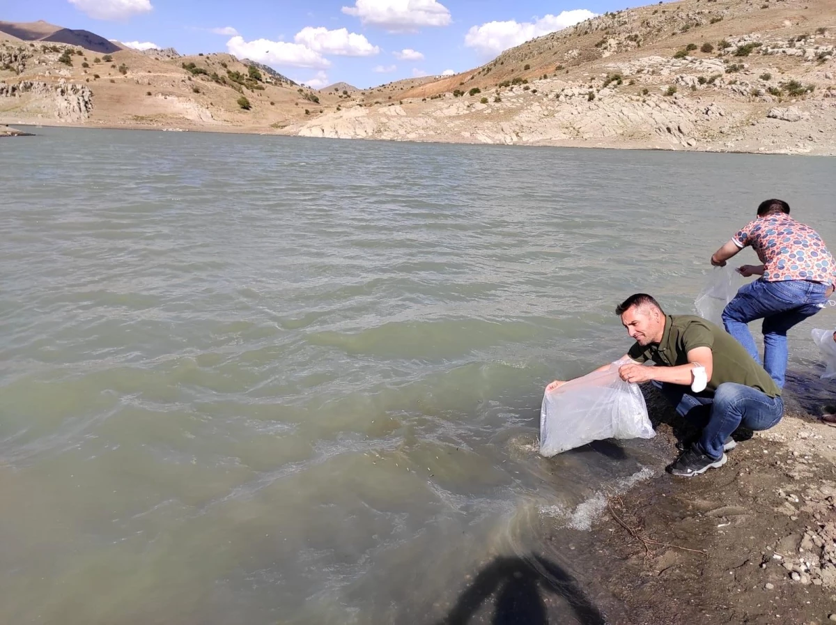 Dinar\'da göl ve barajlara 100 bin balık salındı