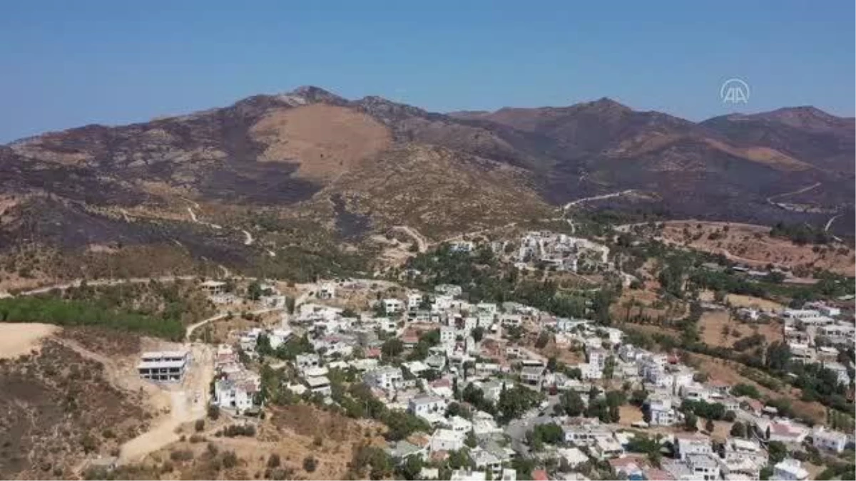 Son dakika haberleri | (DRONE) Bodrum\'daki makilik ve otluk yangını havadan ve karadan müdahaleyle söndürüldü