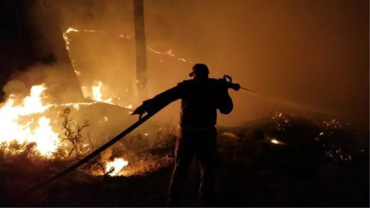 Kaş\'ta aynı bölgede üç günde üçüncü yangın