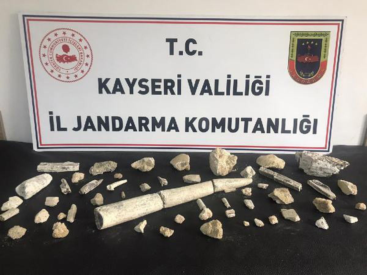 Kayseri\'de fildişi fosili ve fosil kalıntıları ele geçirildi