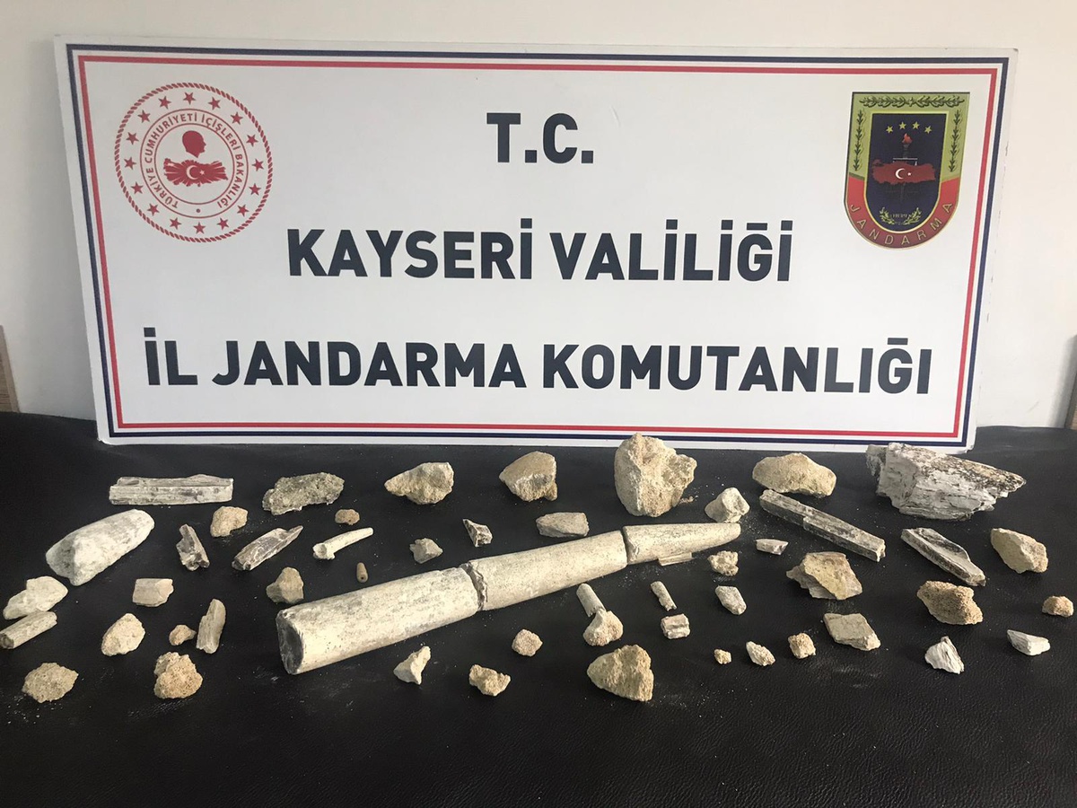Son dakika! Kayseri\'de otomobilinde fildişi fosili ele geçirilen şüpheli gözaltına alındı