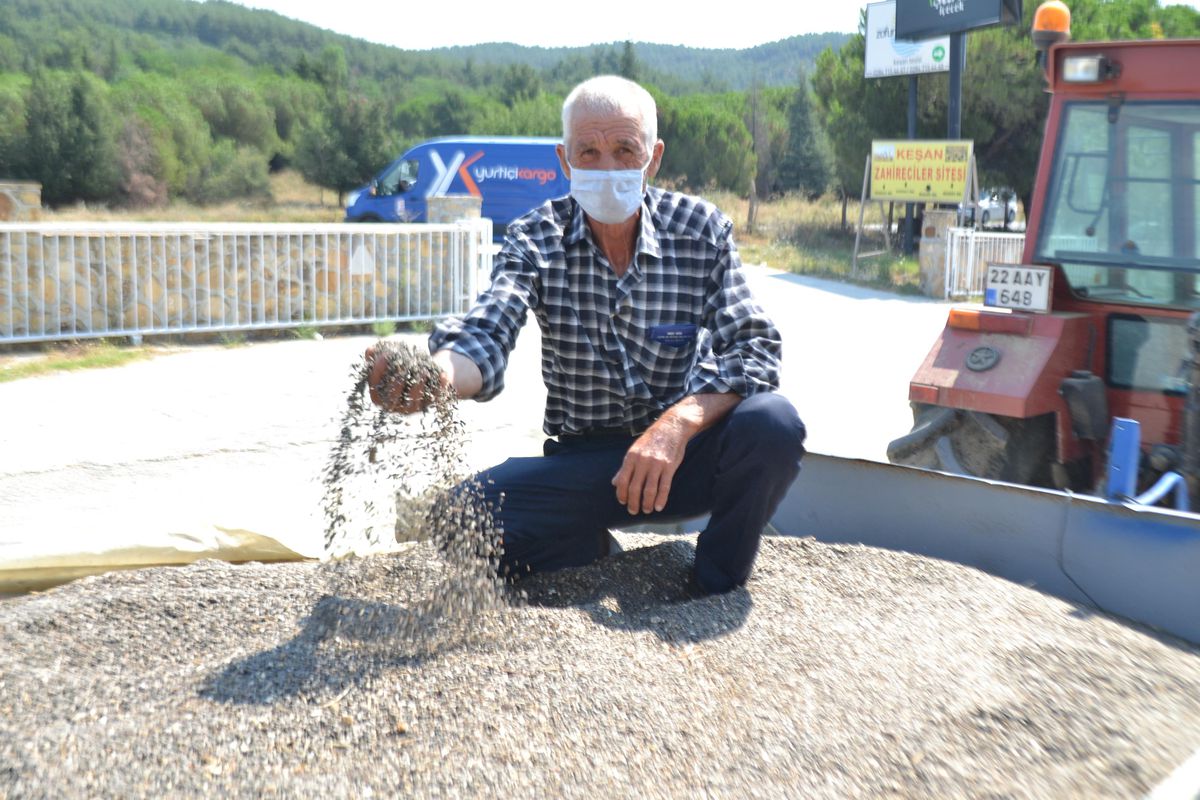 Keşan\'da yılın ilk ayçiçeği ürününün salon satışı yapıldı