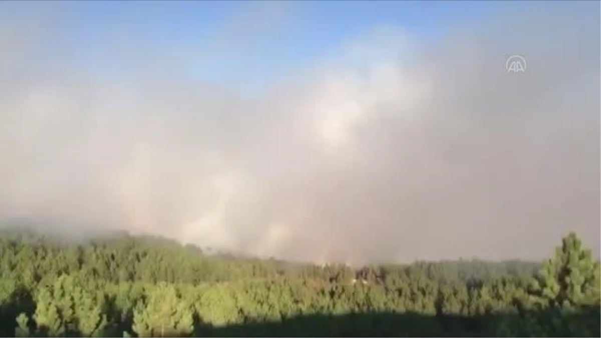 Son dakika haberleri | Köyceğiz\'de başlayan orman yangını, Denizli sınırına yaklaştı