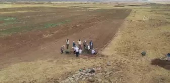 Son dakika haberleri! Malazgirt Savaşı alanının tespiti çalışmalarında ok ve mızrak uçları ile savaş aletleri bulundu