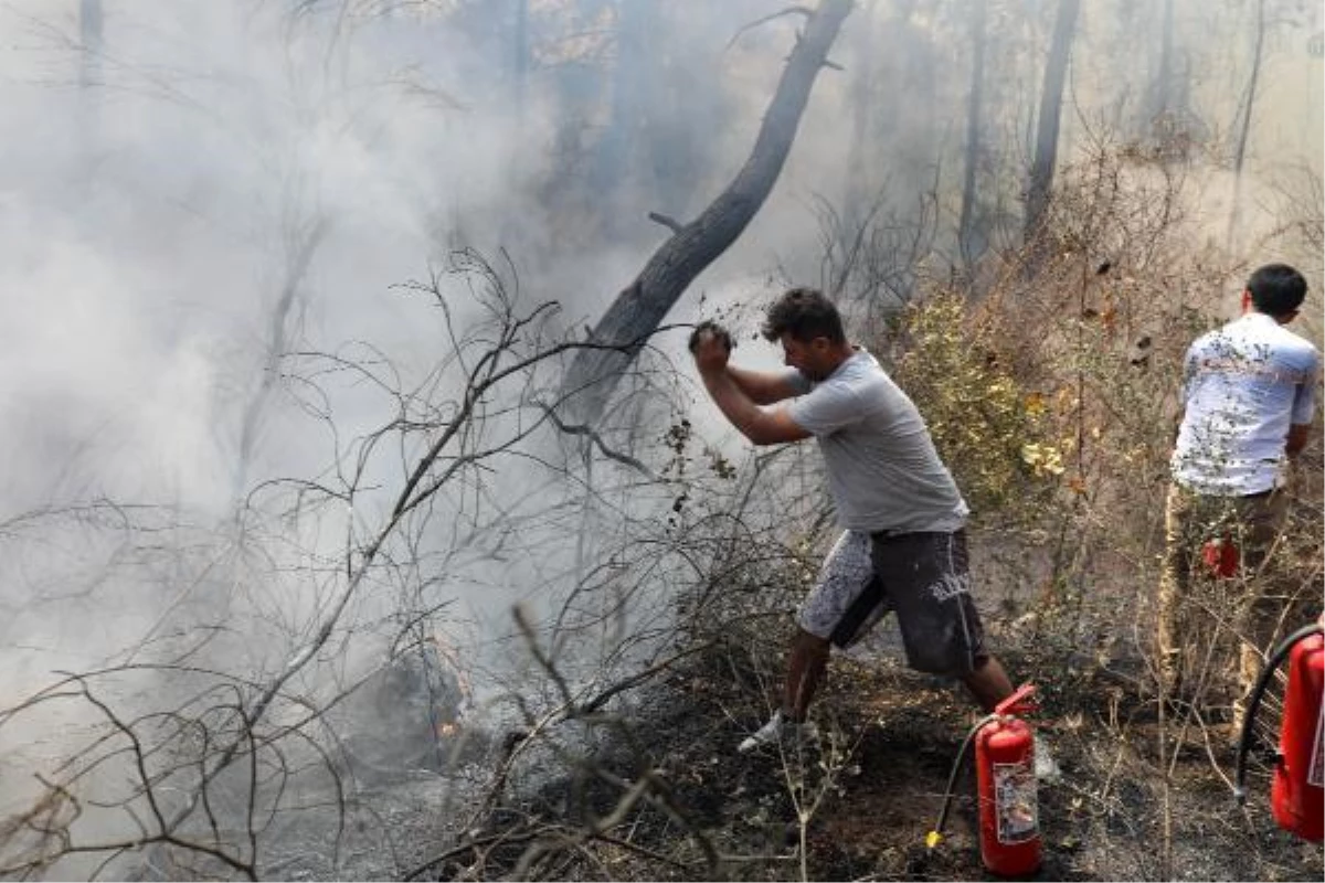 Manavgat\'ta orman yangını (2)
